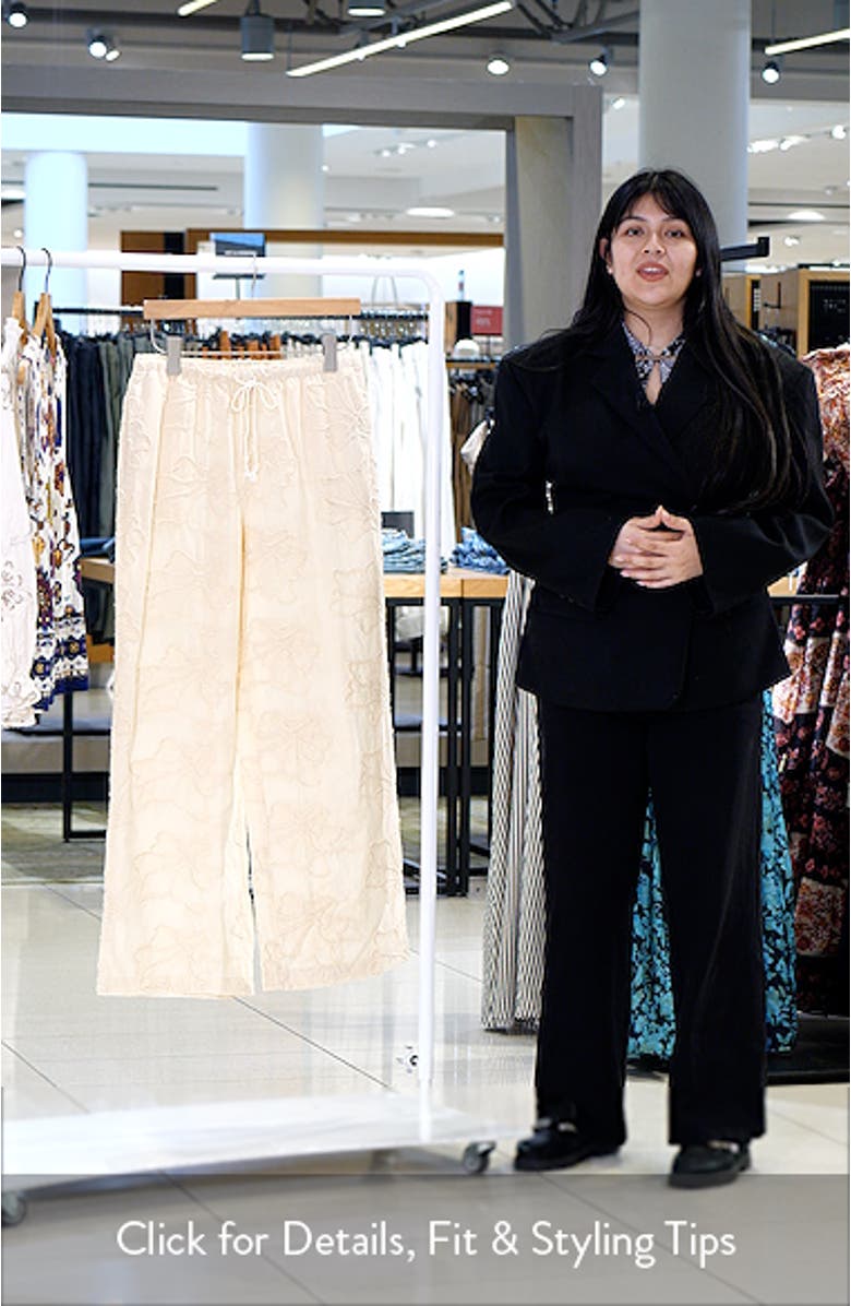Embroidered Tie Waist Wide Leg Pants, sales video thumbnail