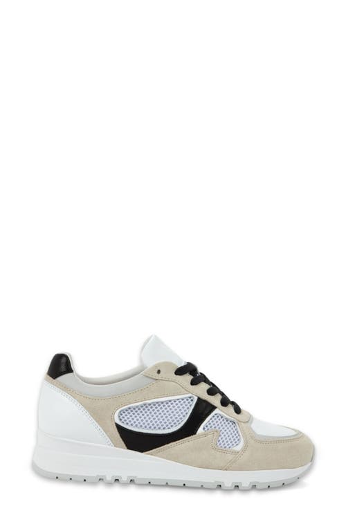 Naot Collins Sneaker In Neutral