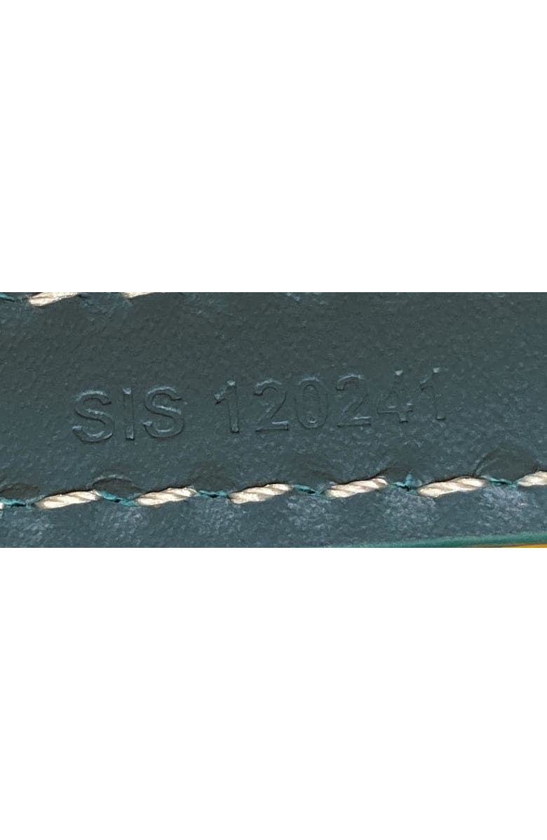 Pre-Owned Goyard Cap Vert Bag Coated Canvas, Alternate, color,