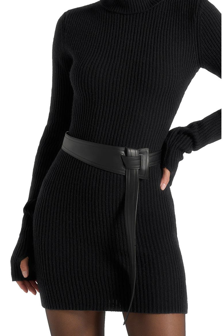 Kalia Roll Neck Knitted Mini Dress With Belt, Alternate, color, Black