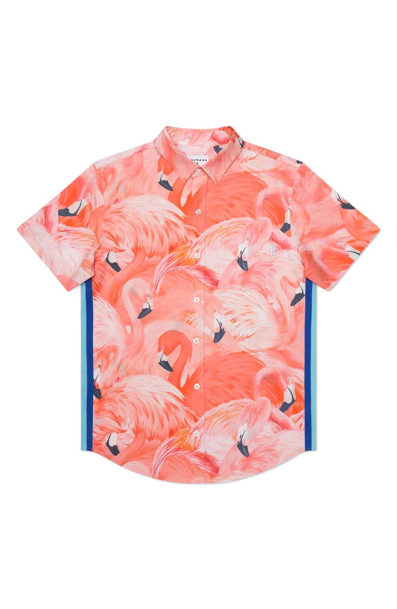 MAVRANS Tailored Fit Flamingo Print Waterproof Short Sleeve Performance Button-Up Shirt, Main, color,