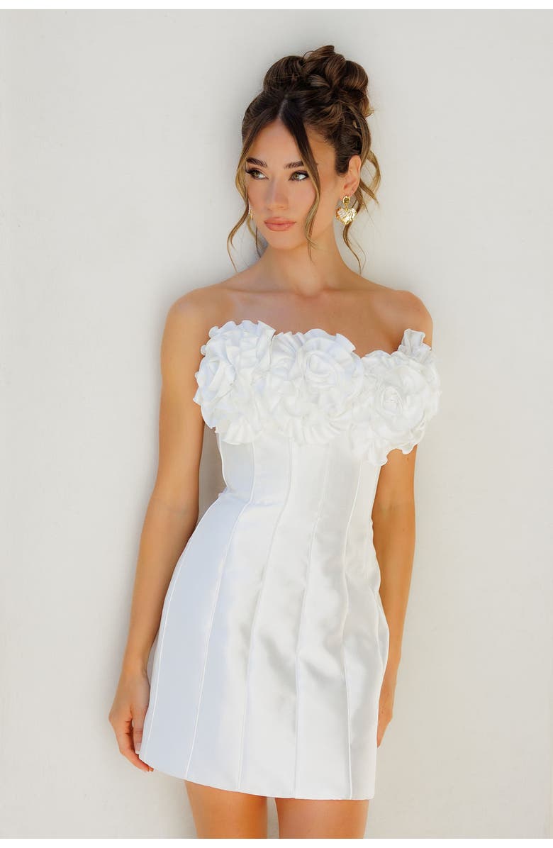 Untamed Petals Leonie Mini Dress, Main, color, Ivory