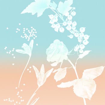 Rose Gold Eau de Parfum Gift Set $228 Value