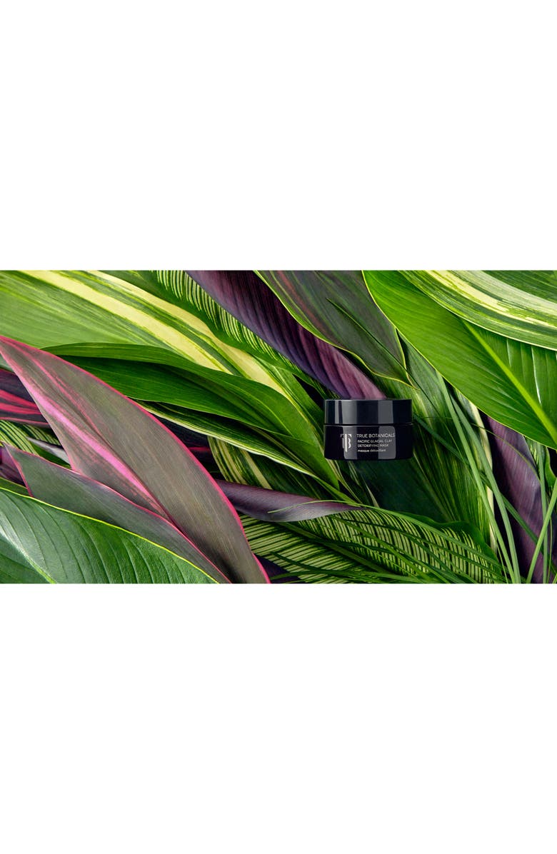 True Botanicals Pacific Glacial Clay Detoxifying Mask, Alternate, color,