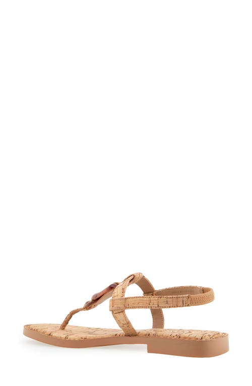AEROSOLES AEROSOLES CARMINE T-STRAP SANDAL