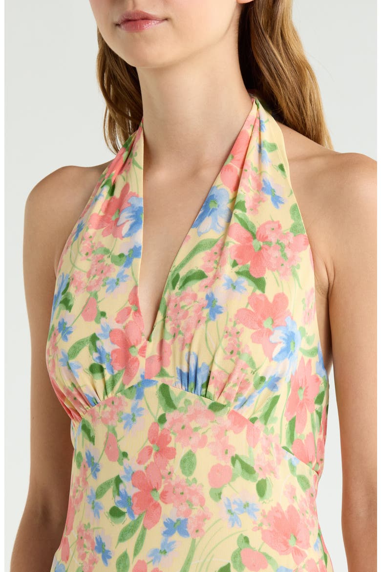 Briony Floral Halter Neck Maxi Dress, Alternate, color, SPRING FLING