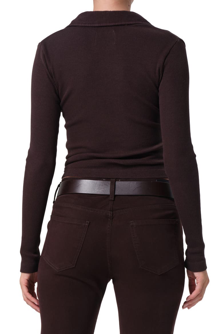 Long Sleeve Rib Polo, Alternate, color, CHOCOLATE