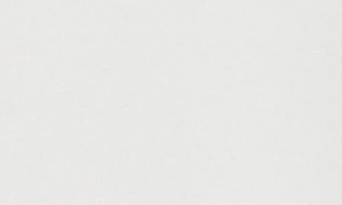 Hanes Ecosmart Fleece Hoodie In White