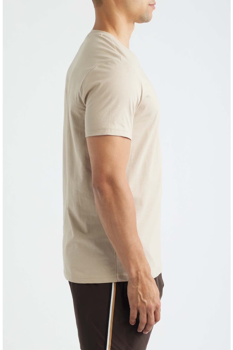 Graphic T-Shirt, Alternate, color, LIGHT BEIGE
