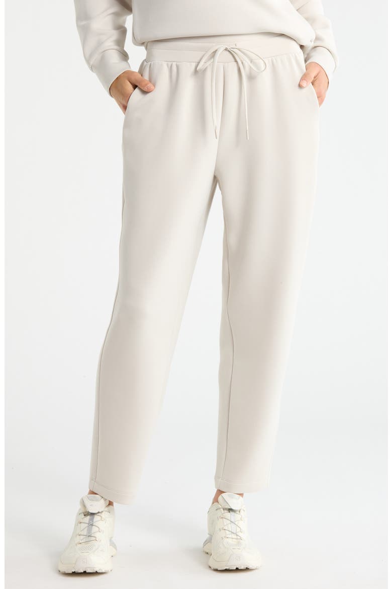 Soft Luxe High Waist Ankle Pants, Main, color, GREY MOONBEAM