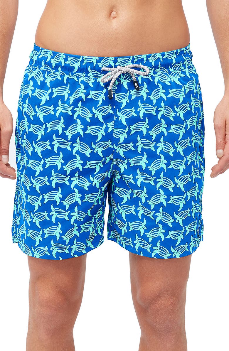 Tom & Teddy Turtle Print Swim Trunks, Main, color, Blue And Ice Green