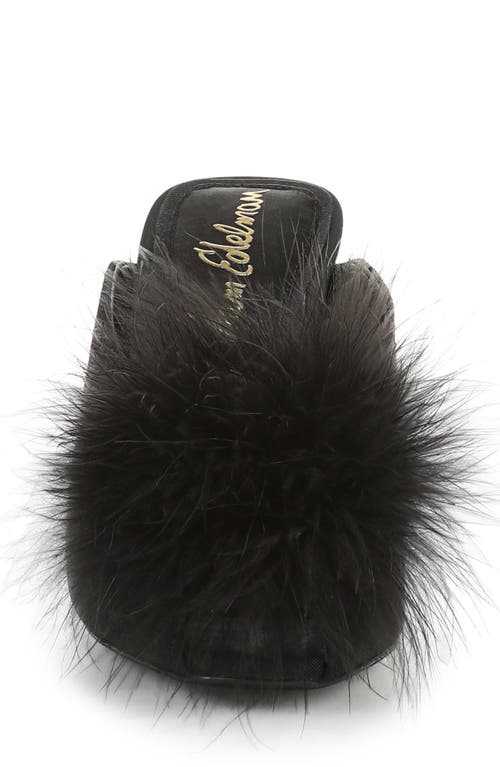 Sam Edelman Witney Feather Embellished Pump In Black