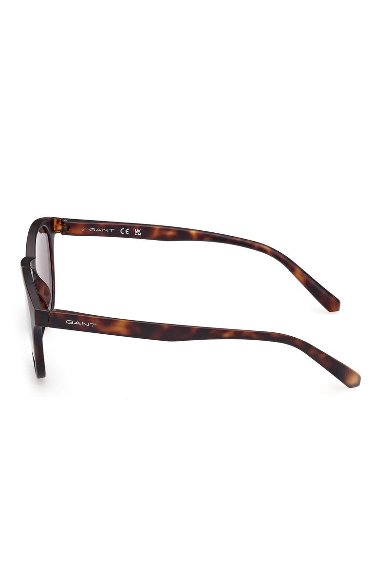 Oval Sunglasses, Alternate, color, DARK HAVANA / BROWN