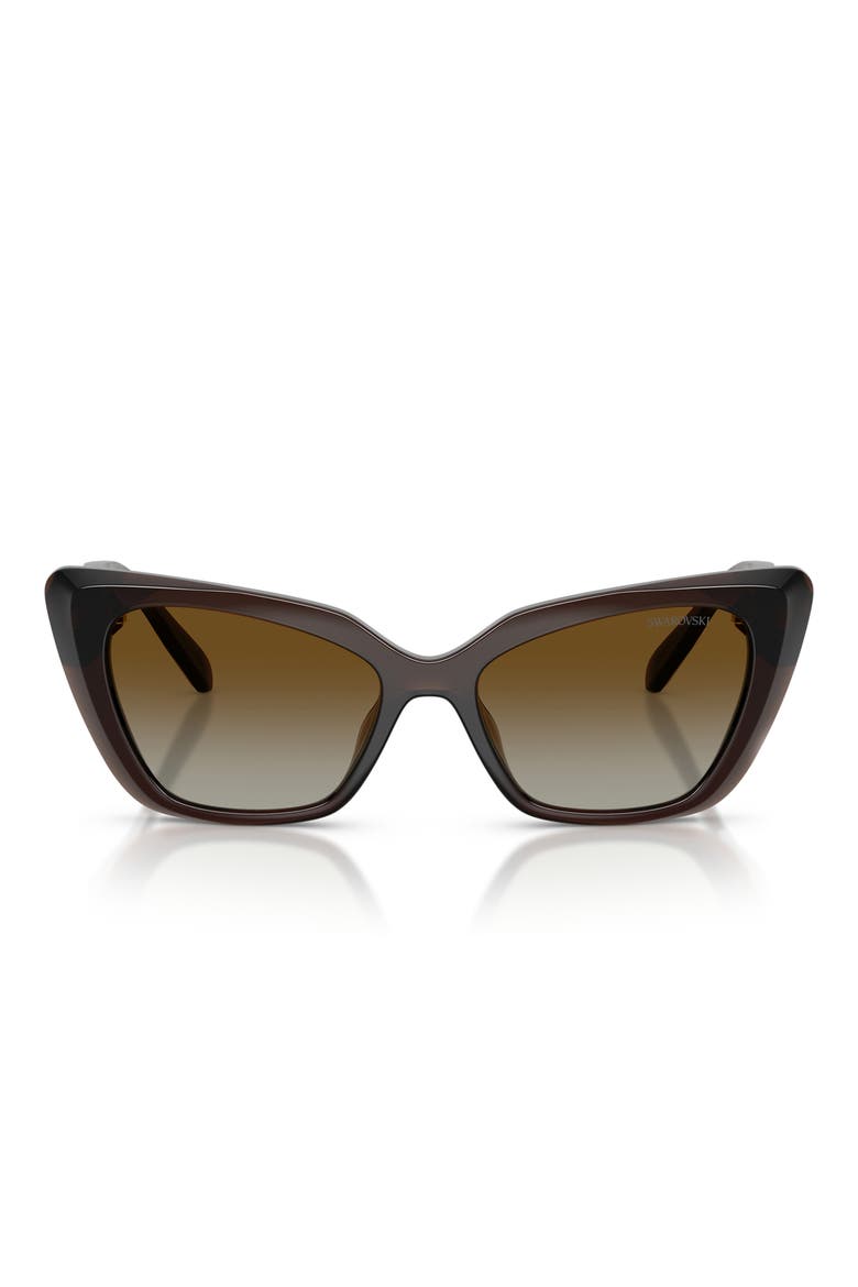 54mm Polarized Cat Eye Sunglasses, Main, color, TRANSPARENT BROWN / POLAR