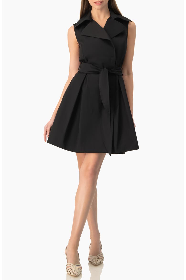Belted Sleeveless Trench-Style A-Line Mini Dress, Alternate, color, Black