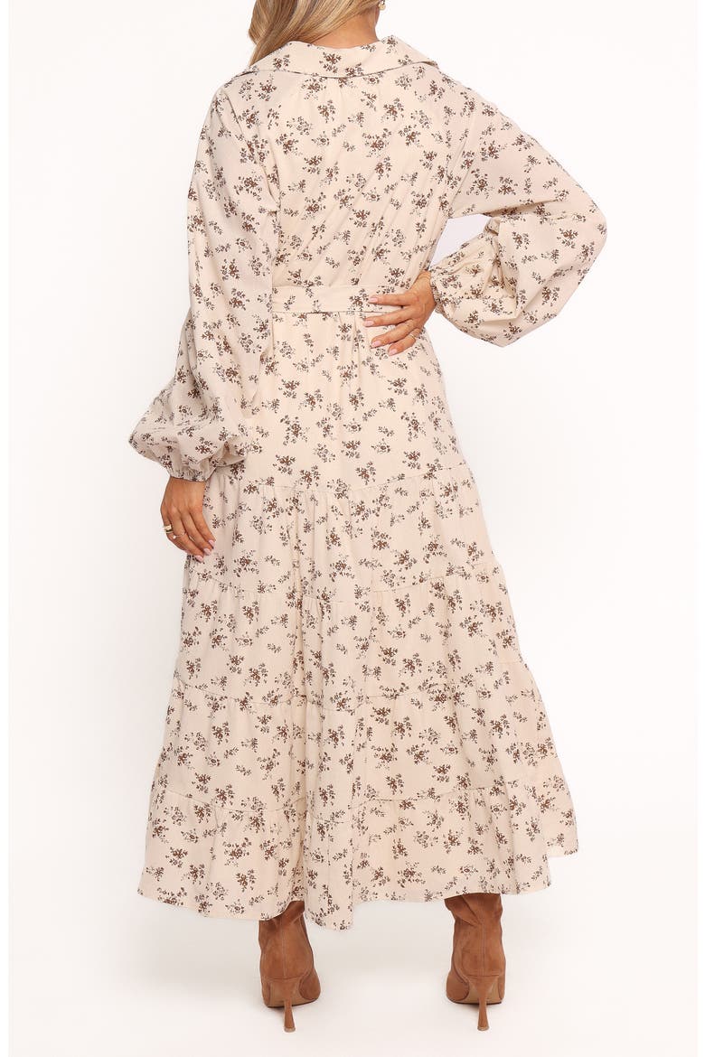 Lincoln Tie Waist Long Sleeve Maxi Dress, Alternate, color, FLORAL