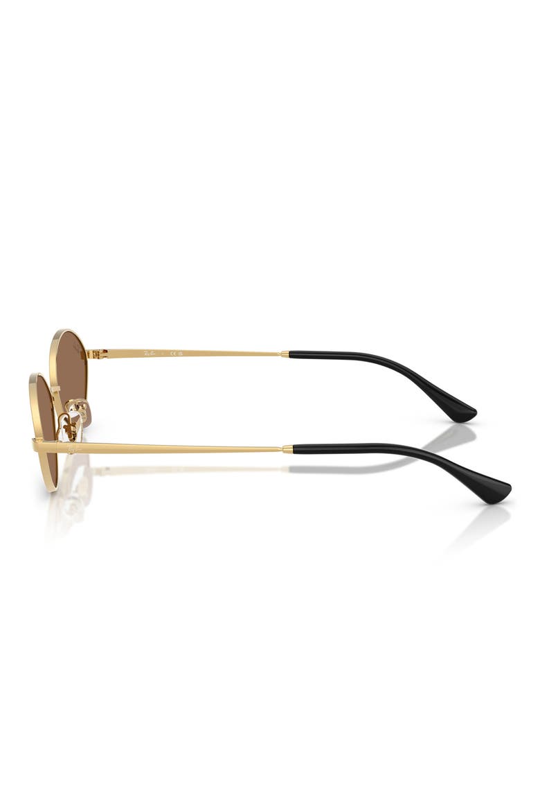 Kai 56mm Oval Sunglasses, Alternate, color, GOLD/ DARK BROWN