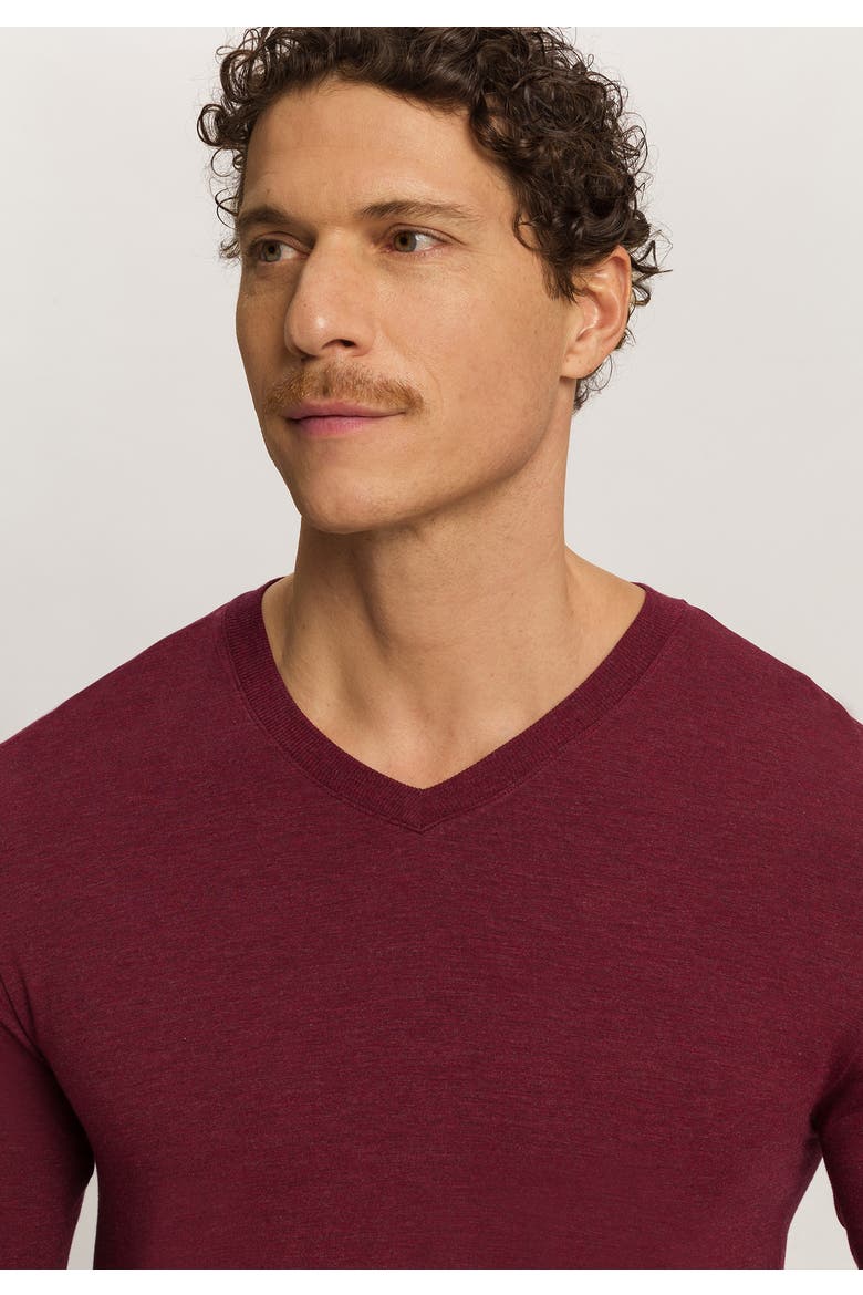 Casuals Long Sleeve V-Neck Top, Alternate, color, Cabernet Melange