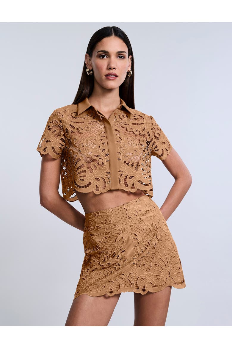 Eyelet Button Down Polo, Alternate, color, Brown Sugar