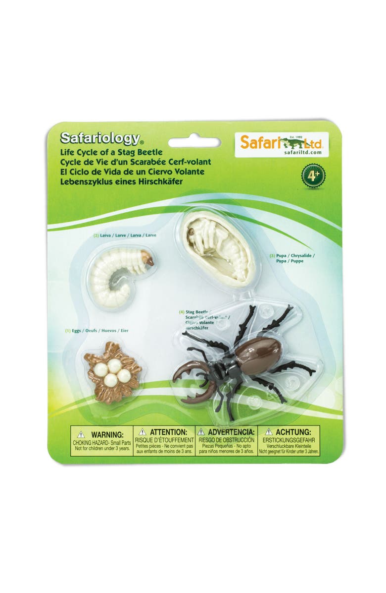 Safari Ltd. Life Cycle Of A Stag Beetle, Main, color, NO COLOR