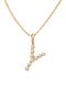  Gold Vermeil Initial Y