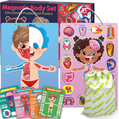 Human Anatomy Learning Puzzles for Kids