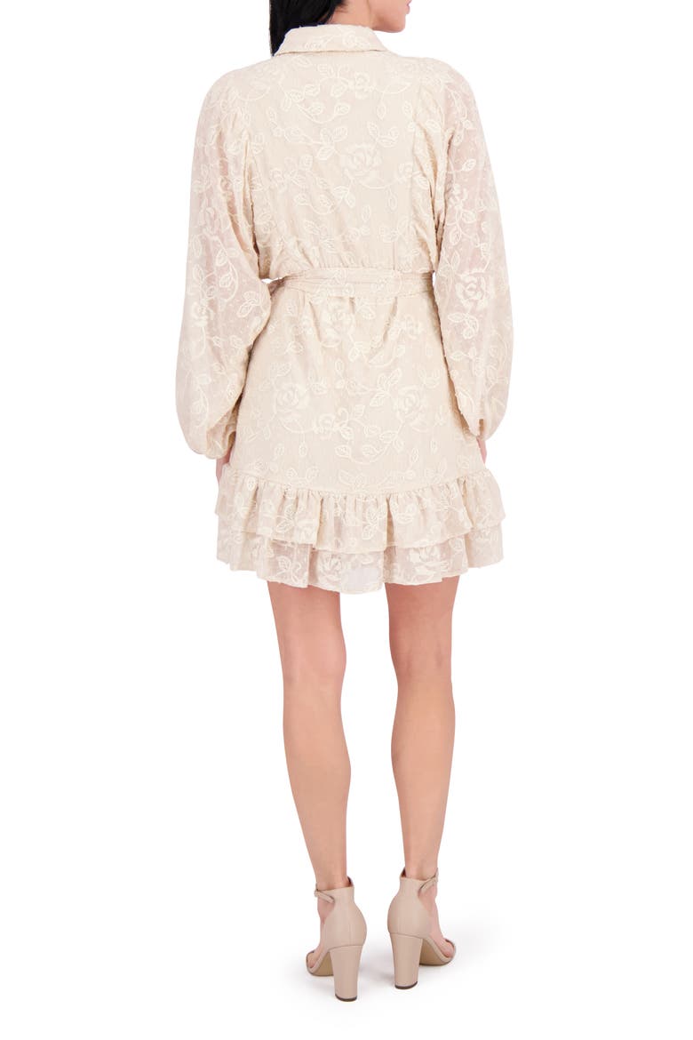 Embroidered Woven Minidress, Alternate, color, SAND