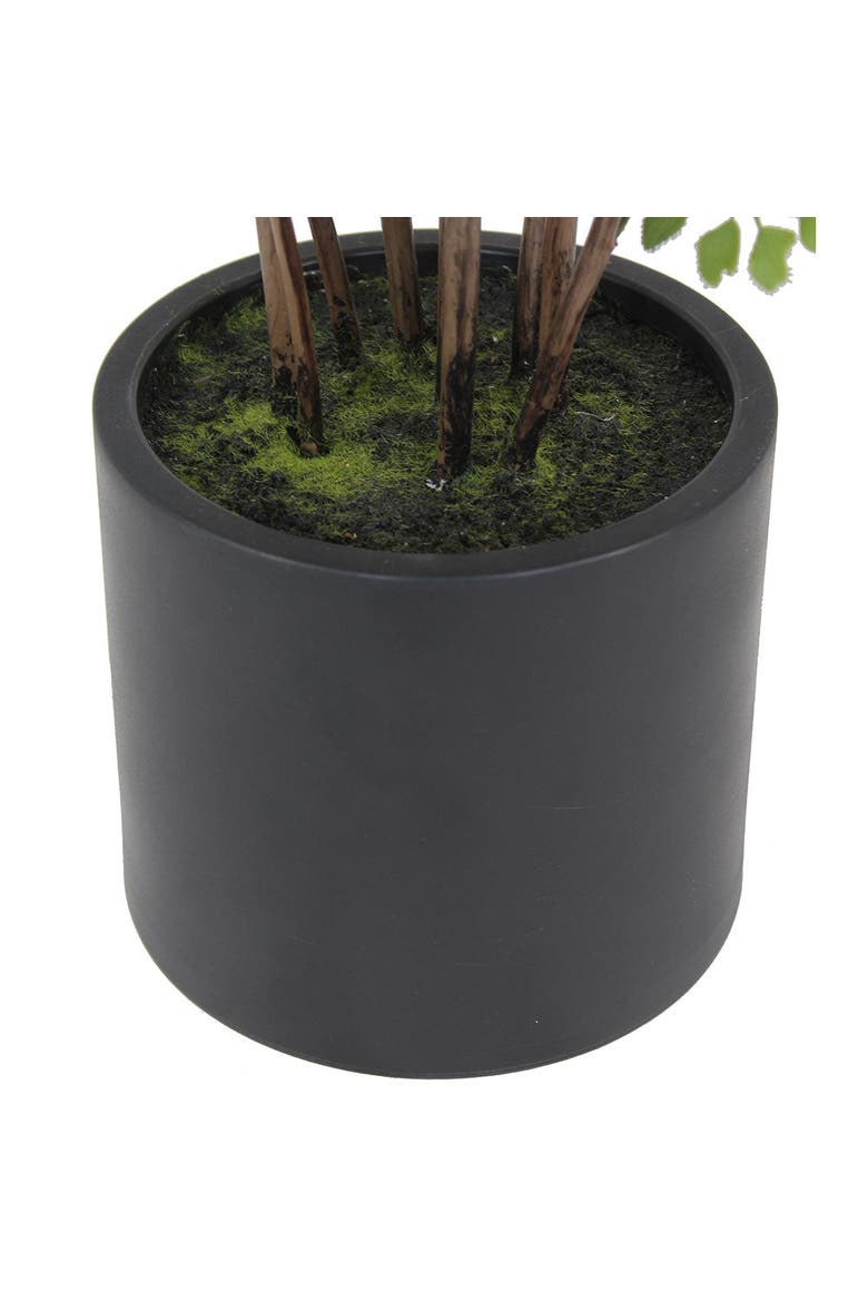 Faux Maidenhair Fern, Alternate, color, Green
