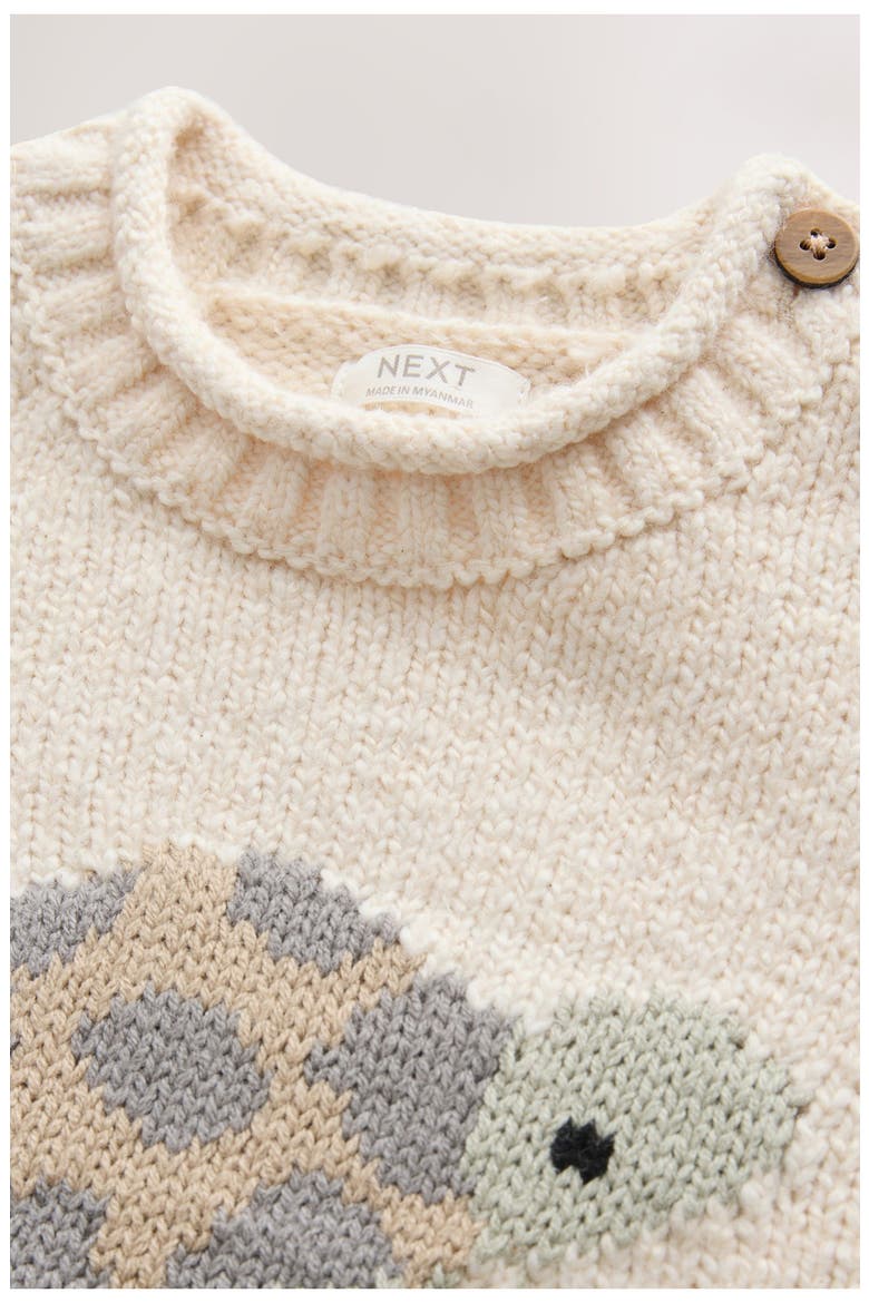 Kids' Turtle Sweater, Alternate, color, CREAM