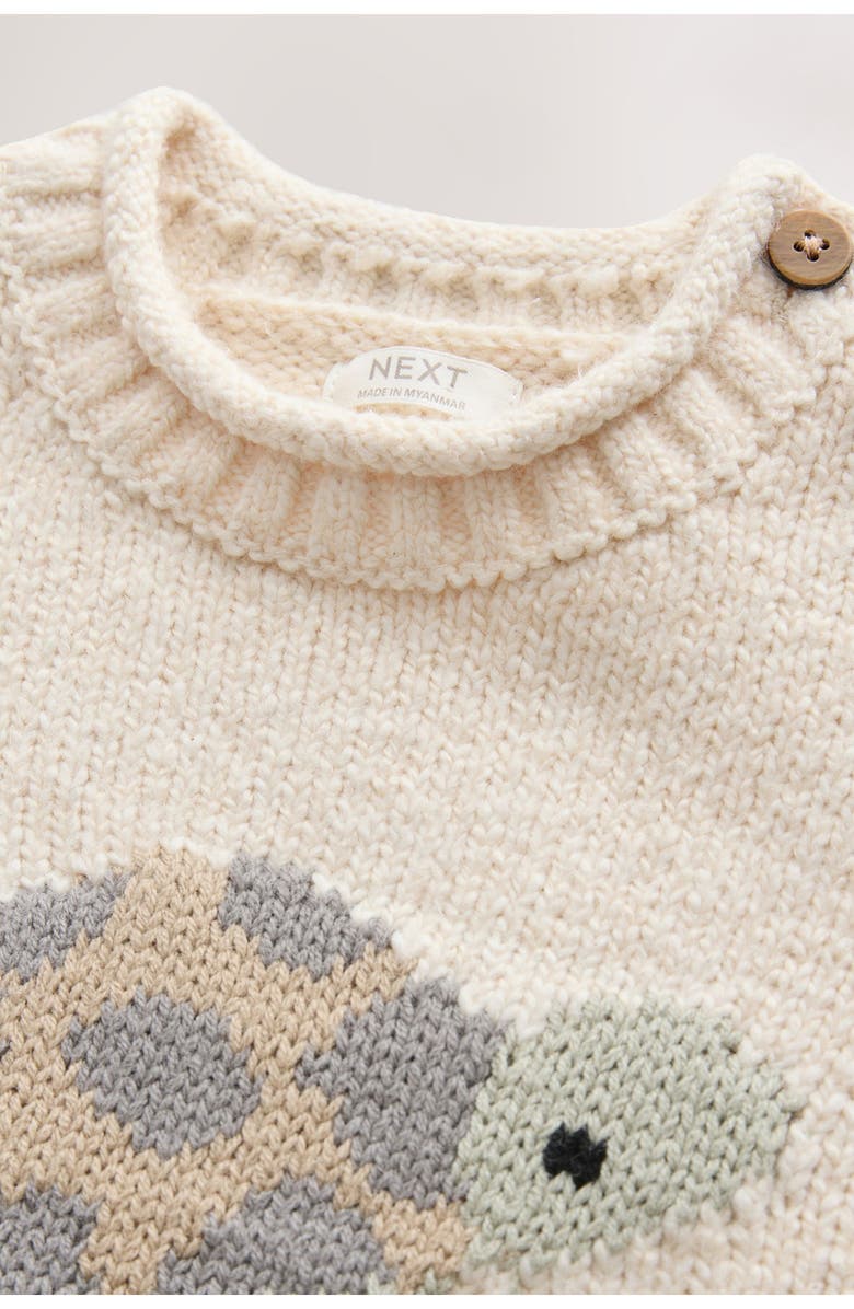 NEXT Kids' Turtle Sweater, Alternate, color, Cream