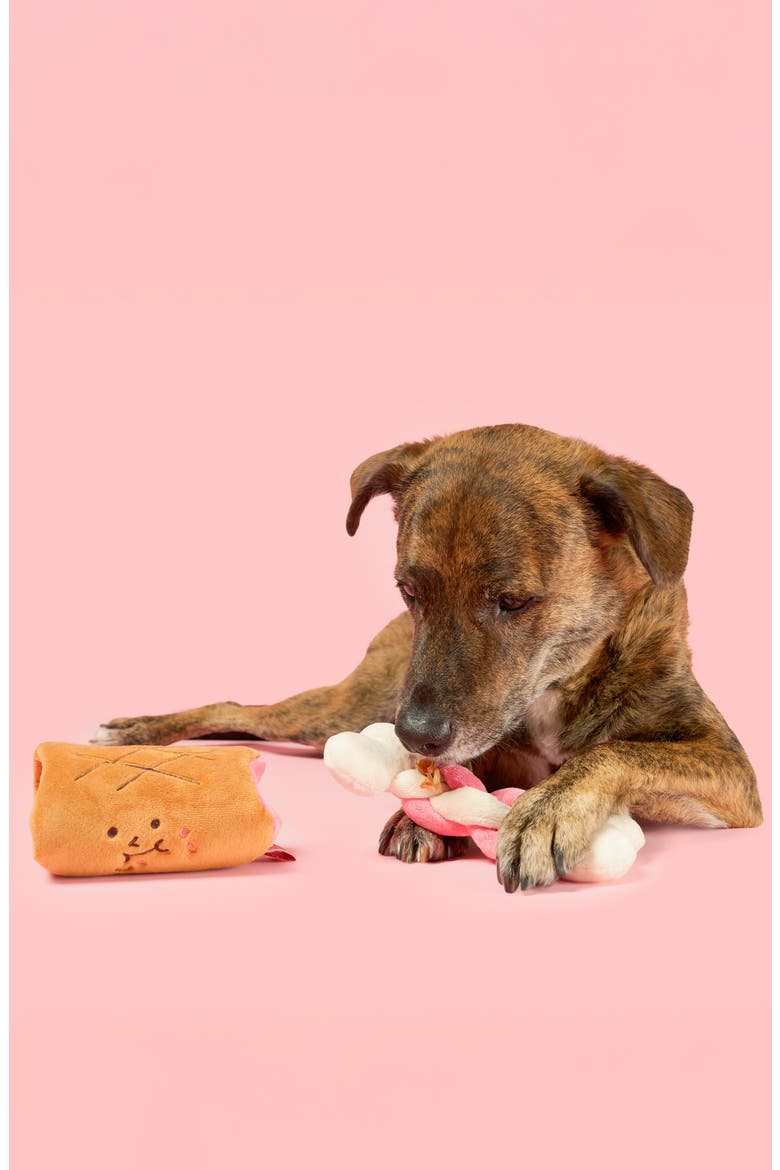 Bone Appetit Nosework Toy, Alternate, color, NO COLOR