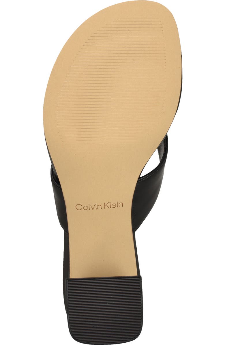 Calvin Klein Locinda Block Heel Sandal, Alternate, color, Black