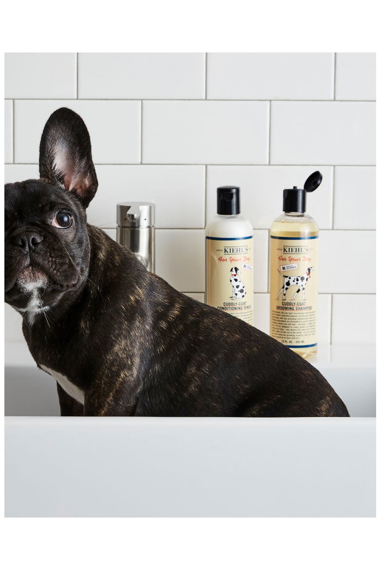'Cuddly-Coat' Dog Grooming Shampoo, Alternate, color, NO COLOR