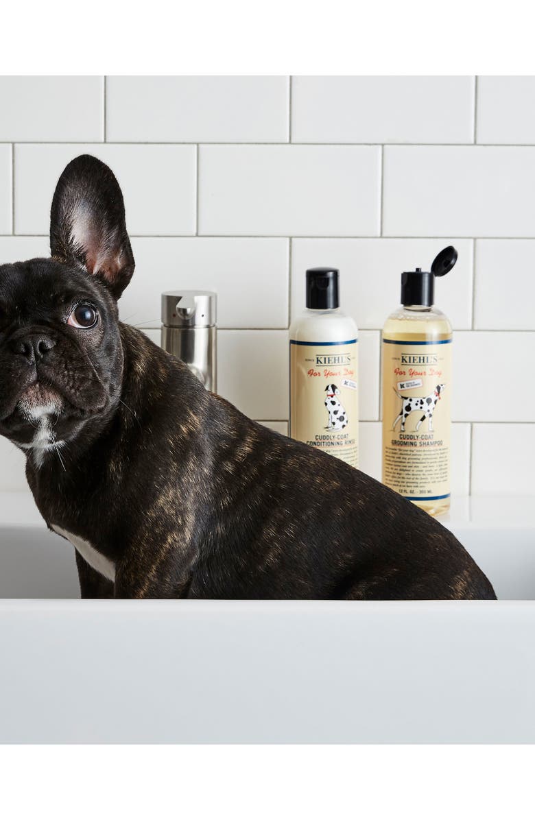 Kiehl's Since 1851 , Alternate, color,