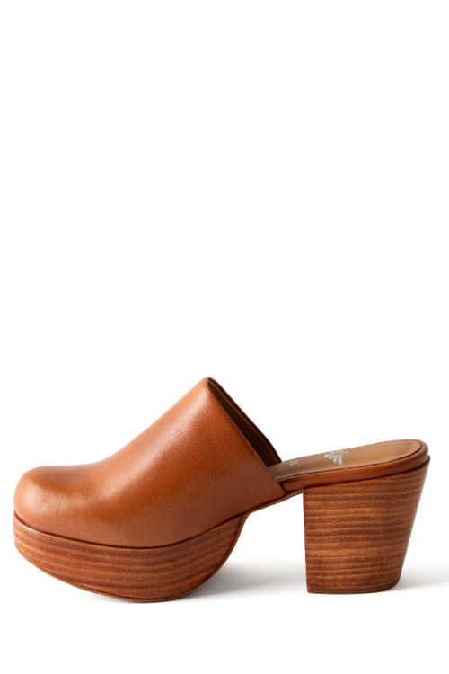 Fortress Ava Leather Clog Mule In Whiskey