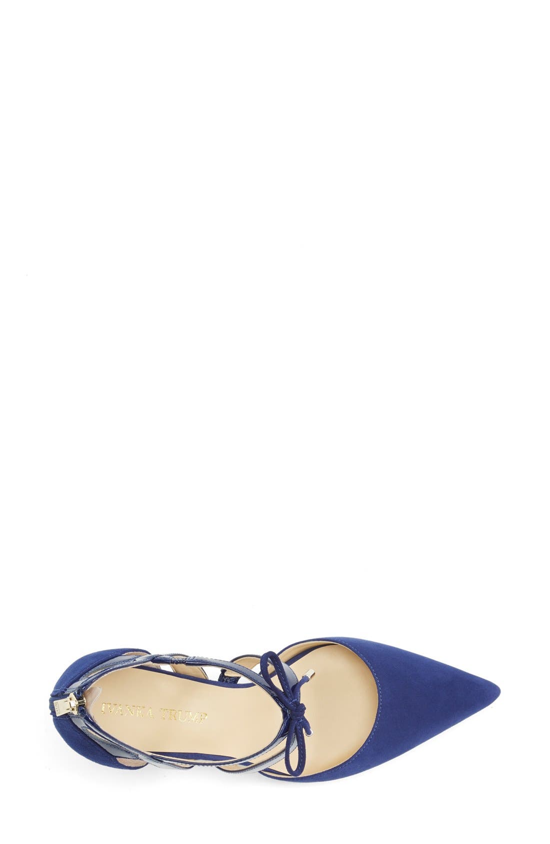 'Tenice' Pointy Toe Pump, Alternate, color, BLUE SUEDE