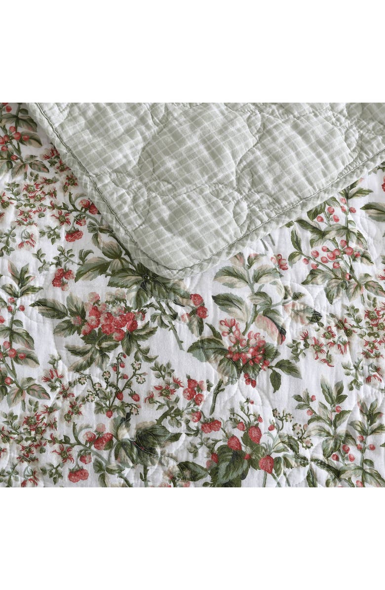 Laura Ashley Bramble Quilt & Sham Set, Alternate, color,