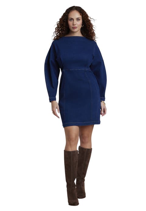 Seamed Denim Mini Dress (plus)