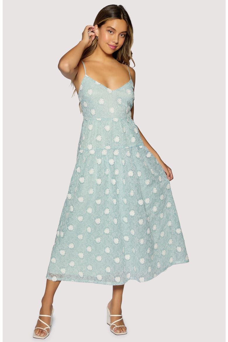 Eternal Spring Floral Appliqué Maxi Dress, Alternate, color, LIGHT-BLUE