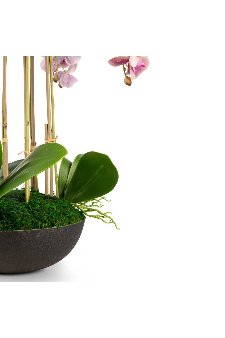 Abella RealTouch Orchid Arrangement, Alternate, color, Periwinkle