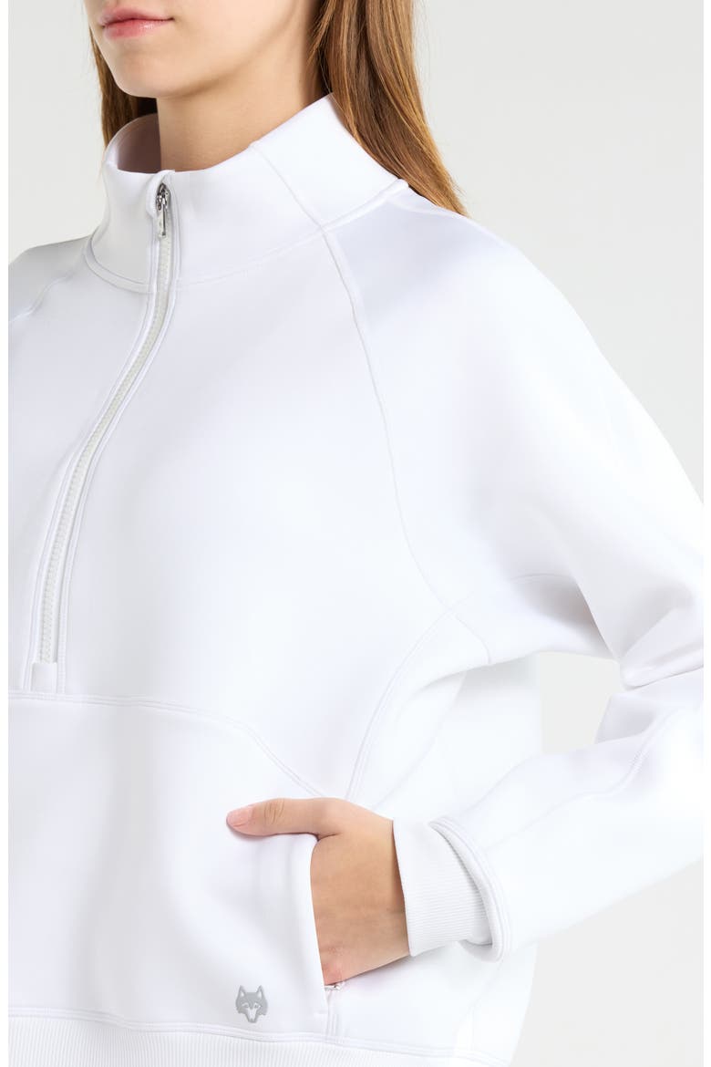 Kristina Half Zip Sweatshirt, Alternate, color, ARCTIC