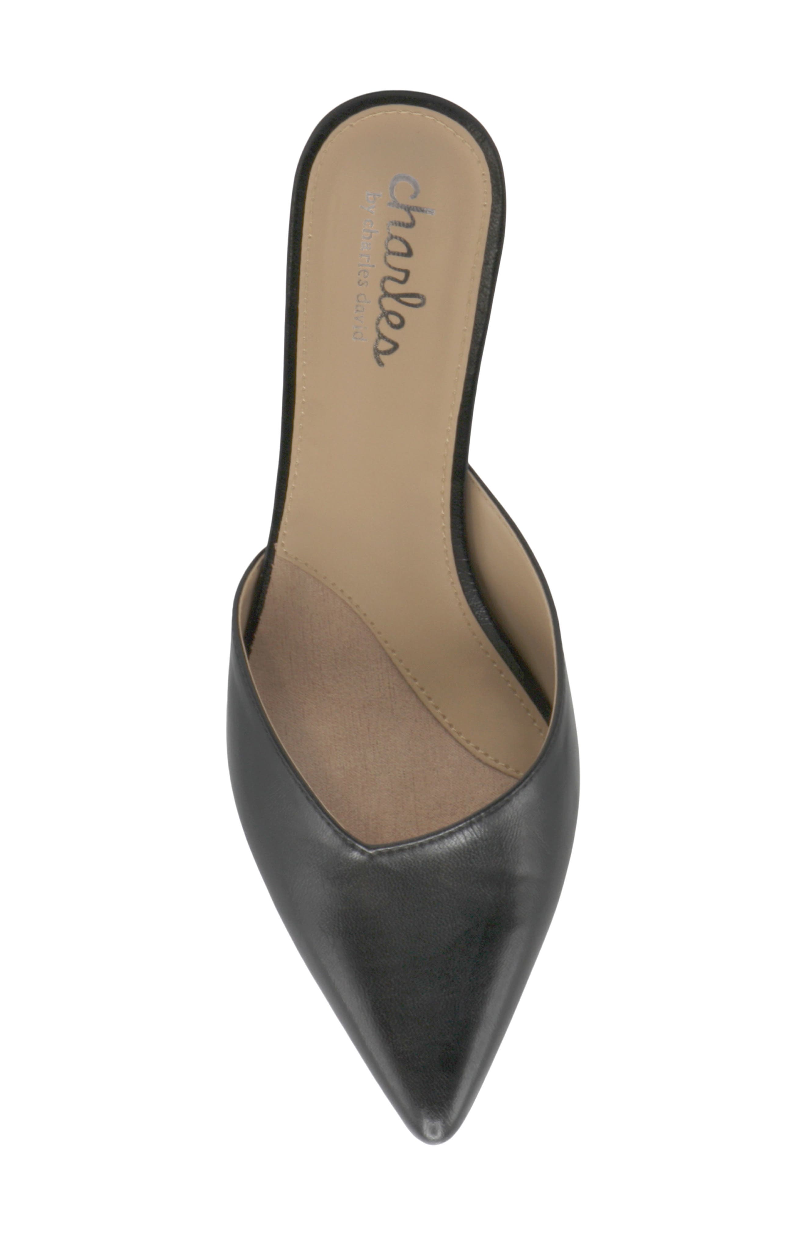 Charles by Charles David Aloe Water Resistant Pointed Toe Mule, Alternate, color, 