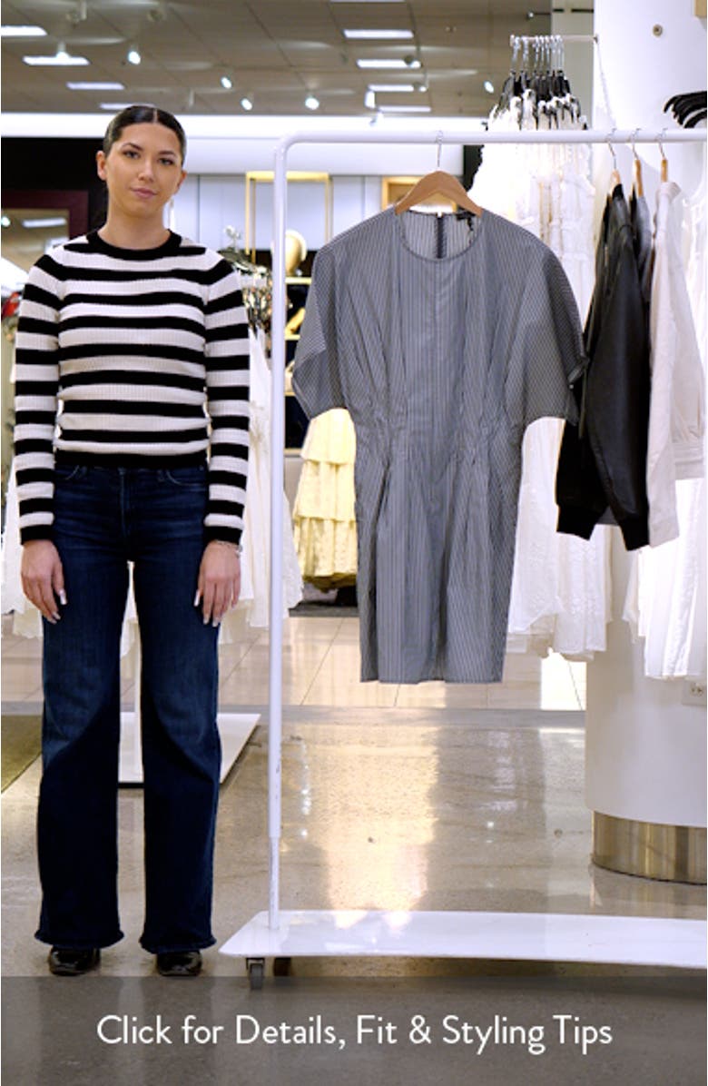 Maddie Stripe Pleated Cotton Poplin Dress, sales video thumbnail