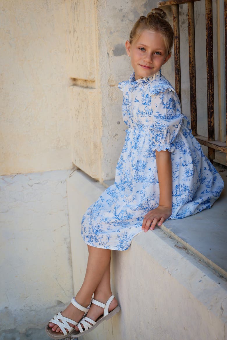 Aoki Blue Toile Dress, Alternate, color, Blue Toile