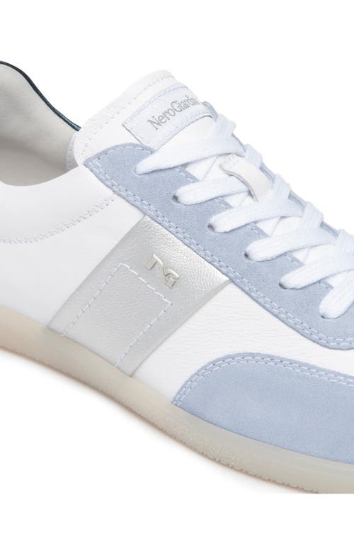 Nerogiardini Low Top Sneaker