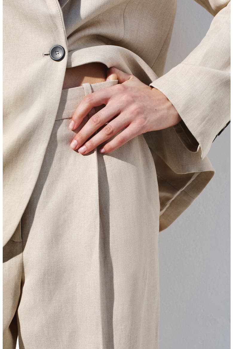 Straight Fit Pleat Front Pants, Alternate, color, SAND