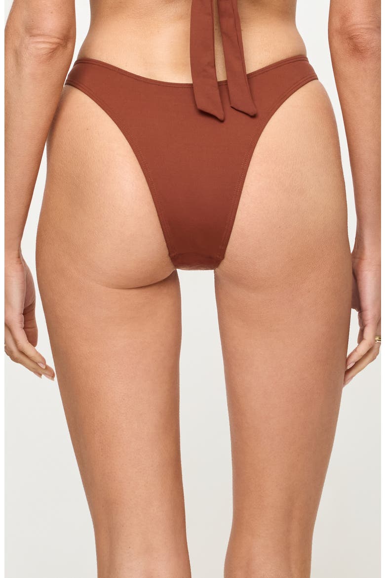 Donnie Bitsy Swim Bottoms, Alternate, color, TOBACCO
