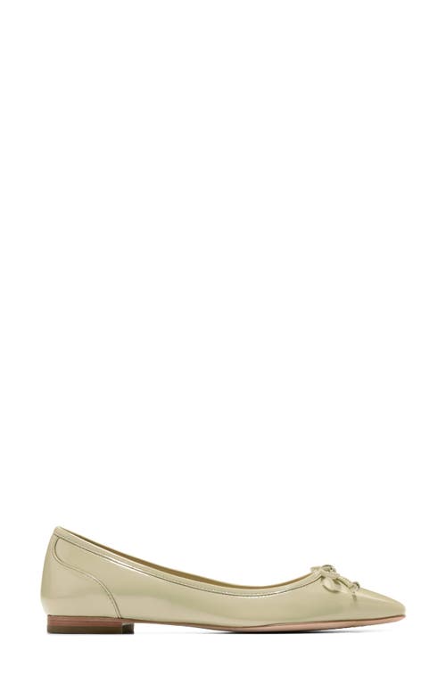 COLE HAAN COLE HAAN CHLEA POINTED TOE BALLET FLAT 
