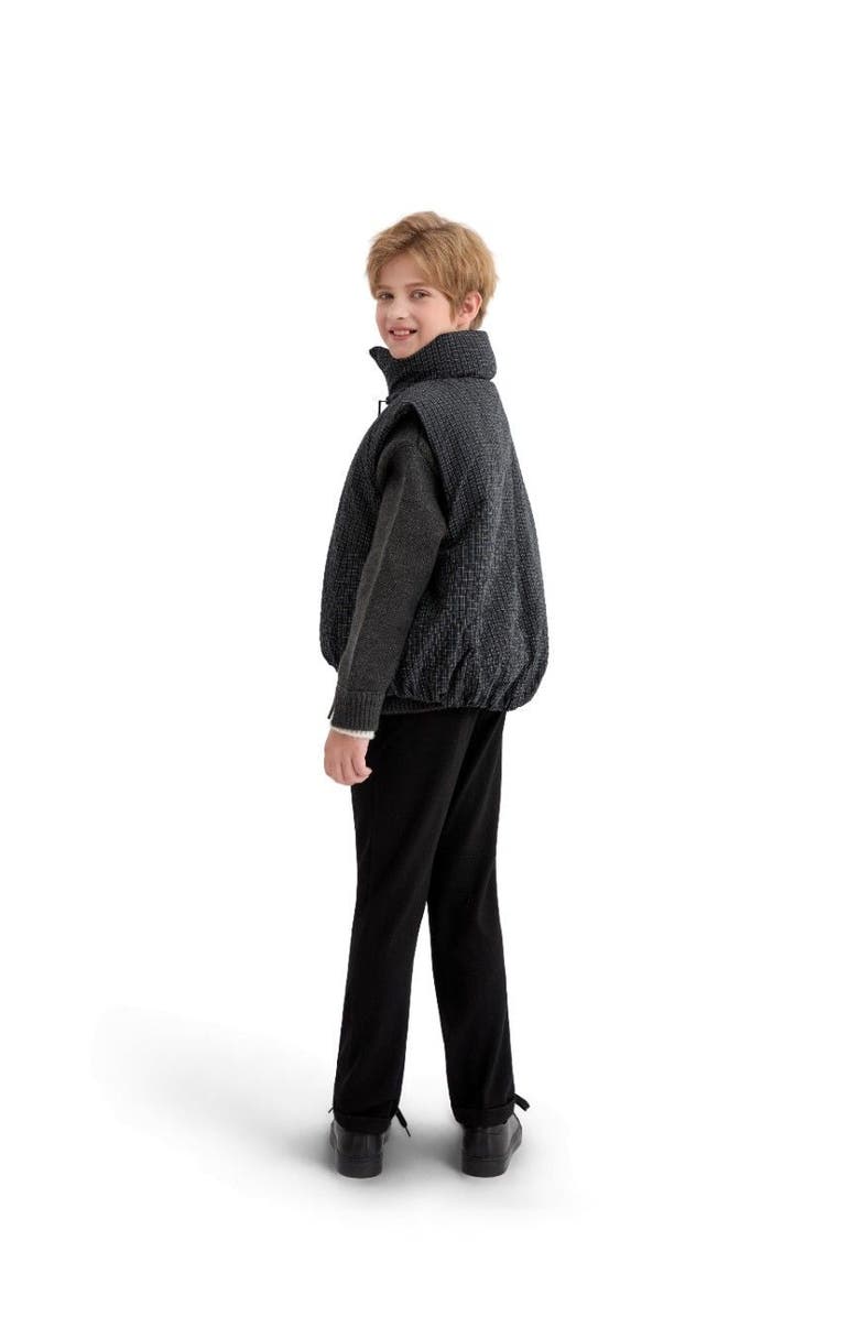 MOUSTACHE Grid-Pattern Quilted Vest, Alternate, color, Black