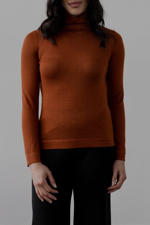 Sskein Turtle Neck Pullover In Rust In Brown